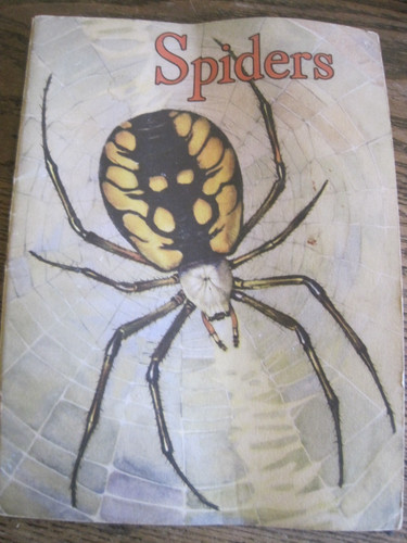 1950 spiders berth - 1950,