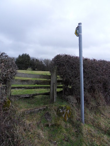 Photo rhosesmor way - photo,